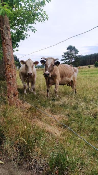Wrzosowe Wzgorze - Domek Wiejski Klaczno Dış mekan fotoğraf